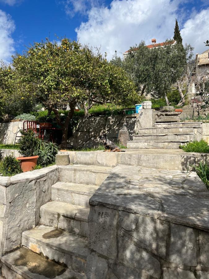 Apartments Cvjetkovic ムリニ エクステリア 写真